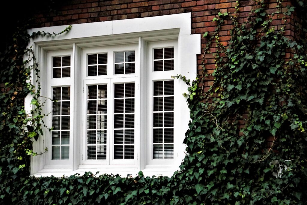 A vinyl window offers strong insulation and low maintenance, helping keep homes quiet, comfy, and energy efficient.